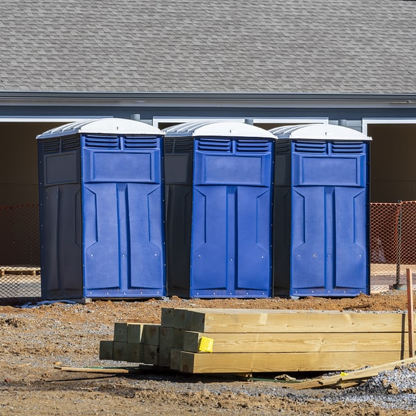 how often are the porta potties cleaned and serviced during a rental period in Hampton NY